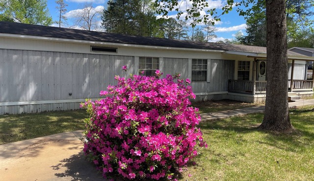 5 Star lake side cottage, Room for 6, fully equipped kitchen,deck with smoker