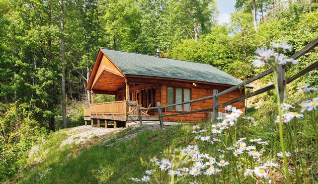 A Tyme to Remember in the Smokies!