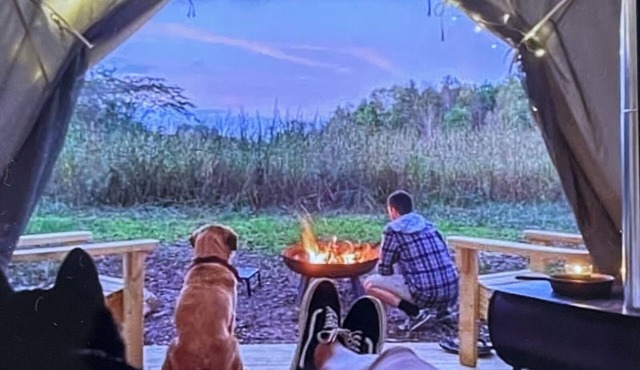 Amazing Views, Unique Tee Pee Camping. Trail Rides on site. Pet Friendly! in Doe Run