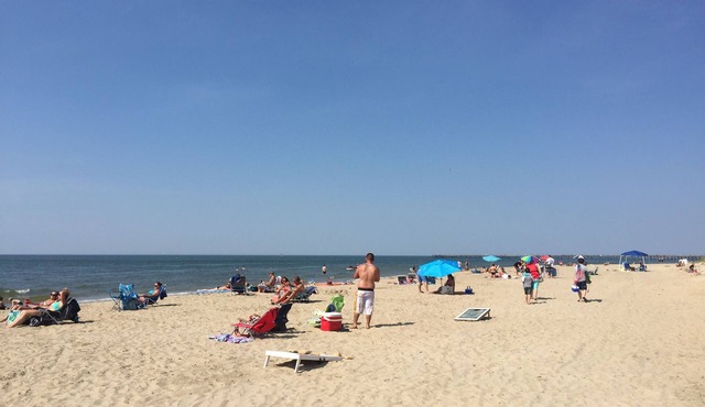 Beach Condo, Walk To The Beach in Virginia Beach