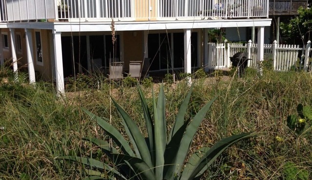 Beachfront 4 Bedroom Condo in Cape Canaveral, FL!