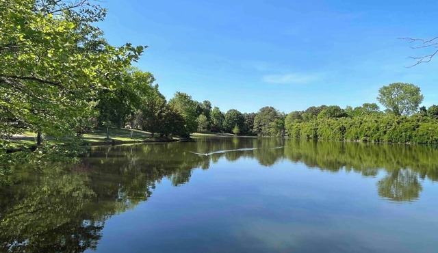 Beautiful and Serene 5BR Oasis with Private Pond