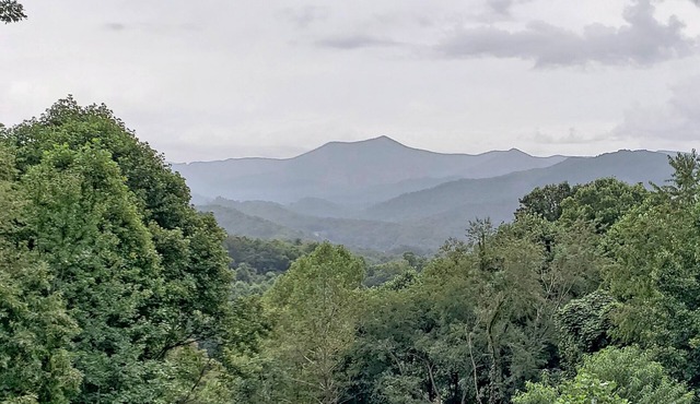 Beautiful Smoky Mountain Home 2/2 BB Incredible View!