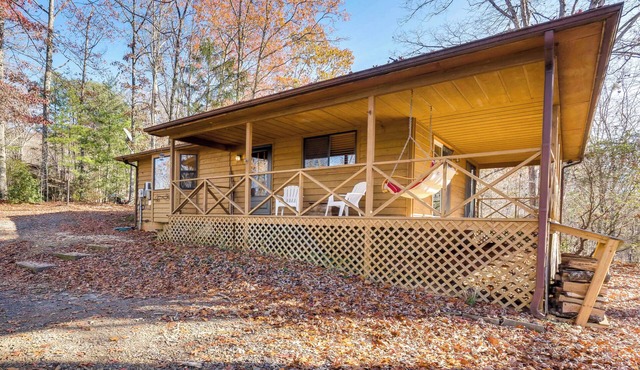Birdwatching, Board Games & BBQs: Cabin in Murphy! in Murphy