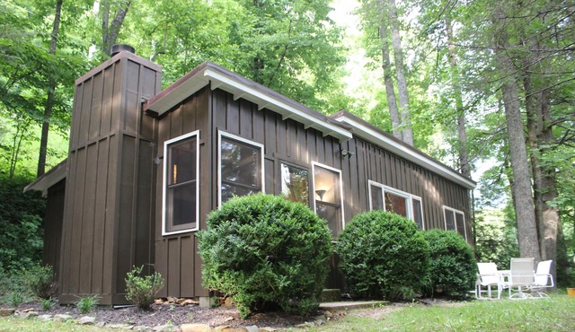 Blue Ridge Parkway Mid-Century Mountain Cabin