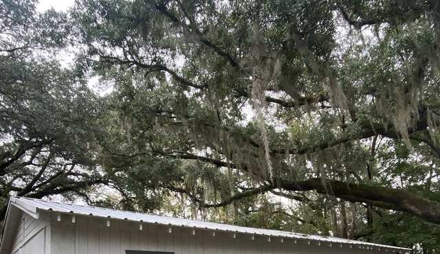 Bluffton Lodging surrounded by Lowcountry Landscape