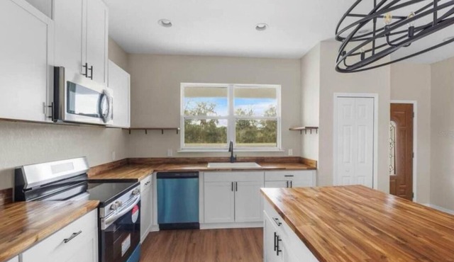 Brand New Spring Fed Lake Front Home