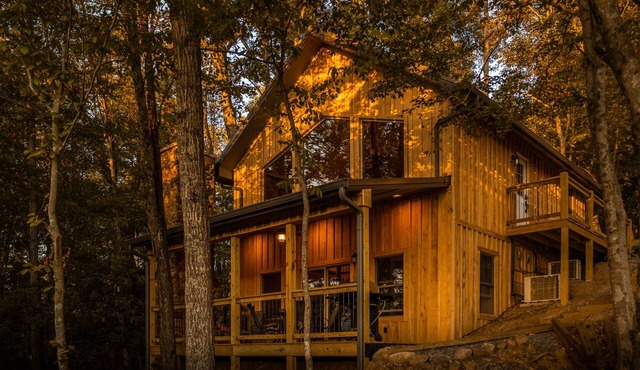 Bufflehead | Cabin on the South Holston River