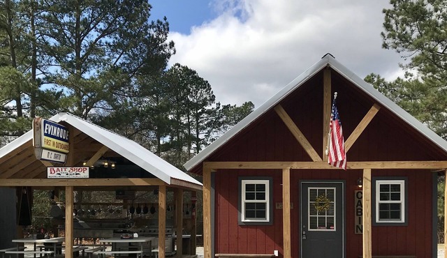 Cabin 2/LAKE HARTWELL/Green Pond&Broyles Lndgs/Clemson/Lockable Shelter w/power