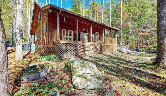 Carrie’s Cabin