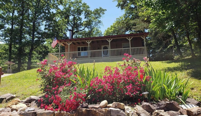 Charming cabin with Smoky Mountain Views in Cosby