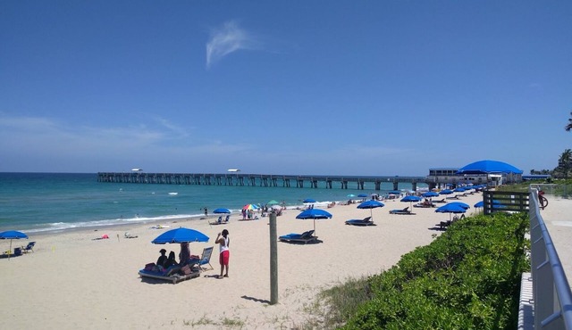 Charming Lake Worth Beach Home with Heated Salt Water Pool! 4 min to the Beach!