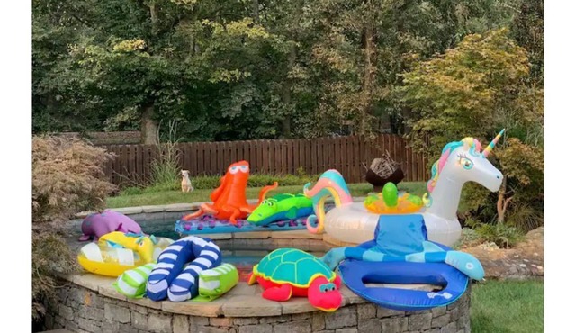 Close,Private,Pool,Pets,Kids!