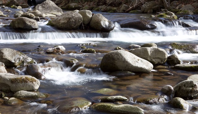 Convenient Creekside condo with large wrap around balcony, close to everything!