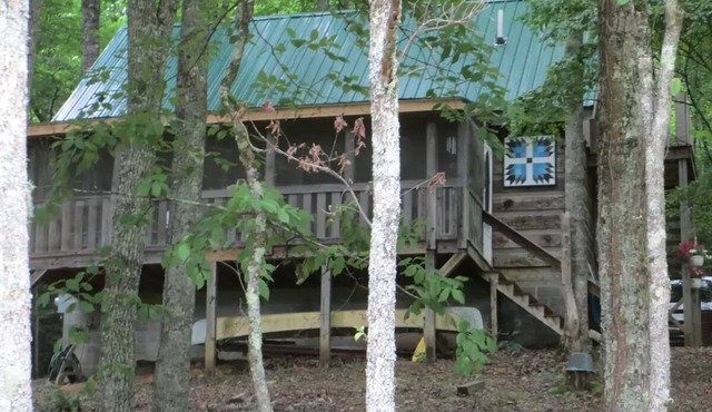 Cozy Cabin near Fontana Lake