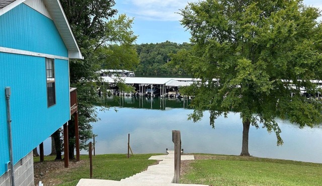 Cozy, lakeside cabin on beautiful Tims Ford Lake