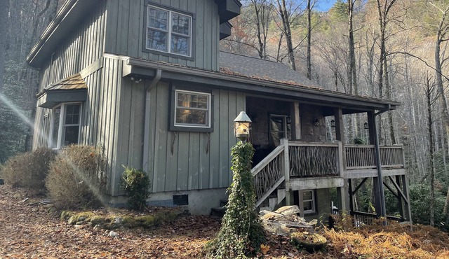 Cozy Mountain Cabin in Cashiers