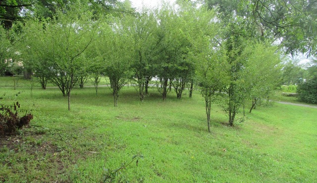 Cozy Studio Country Peaceful Charm Concord 2 Minute to Cabarrus Arena