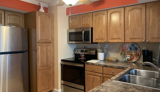 Cozy upscale furnished condo in lovely St Pete close to beach and restaurants