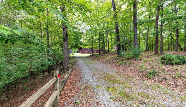 Dancing Bears Cabin - Secluded 3-Bedroom, 3.5-Bath Luxury Cabin with Hot Tub in Mineral Bluff