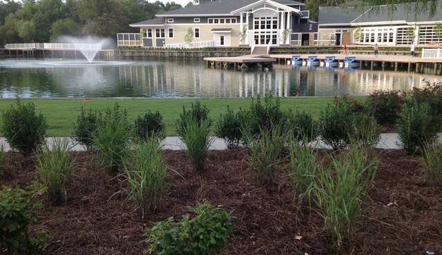 Diamond Resorts. one bedroom, one pull out queen couchone bath, sleeps 4 adults. in Kitty Hawk