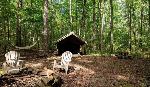 Enchanting Glamping Tent with Hammock & Fire Pit Escape in Rising Fawn, Georgia