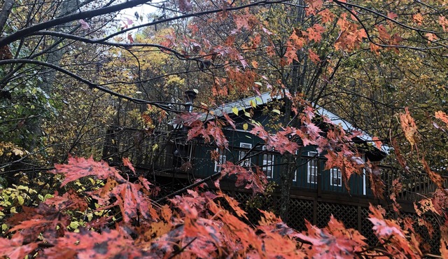 Falling Leaf Cabin - a true cabin in the woods in a private setting in Cullowhee