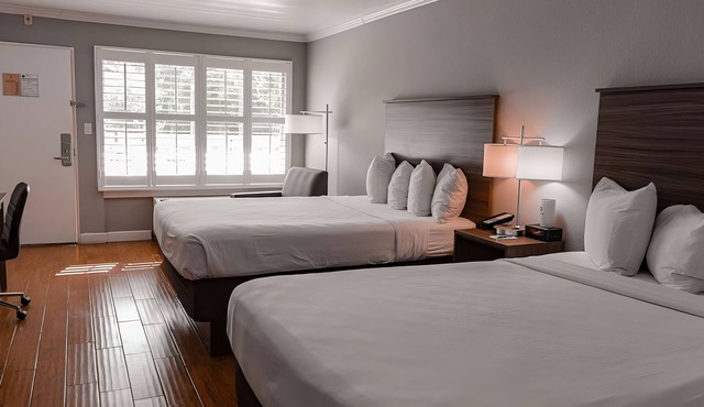 Free Hot Breakfast Buffet | Vero Beach Inn and Suites | Queen Standard Room