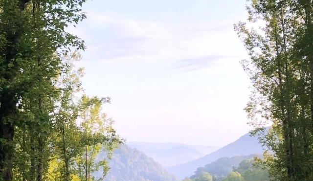 Gorgeous Mountain View 8 miles from Appalachian Trail