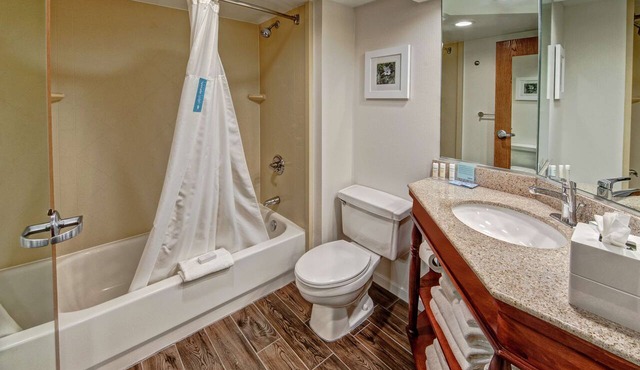 Hampton Inn by Hilton Charlotte/Matthews