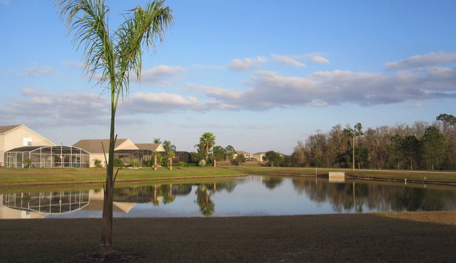 Heavenly Lakeside Retreat Near Disney, Orlando and Beaches