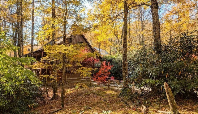 HIGH SPEED FIBER OPTIC WIFI; Tranquil Treehouse on 2.5 Acres; Affordable Luxury