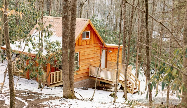 Honeymoon Cabin-4 Wheel Drive highly recommended during Winter