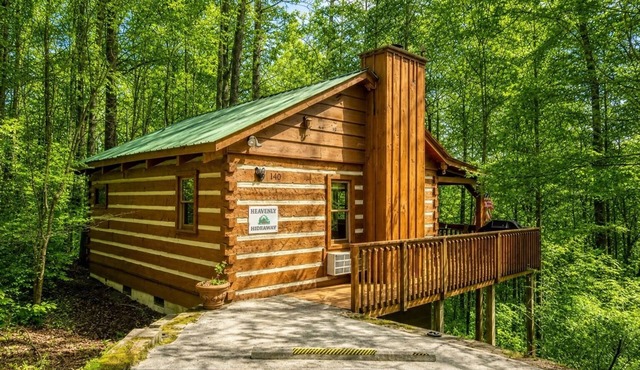 Hot Tub❅Gas Fireplace❅King Bed❅Secluded❅Community Pool❅Cozy - BEARADISE