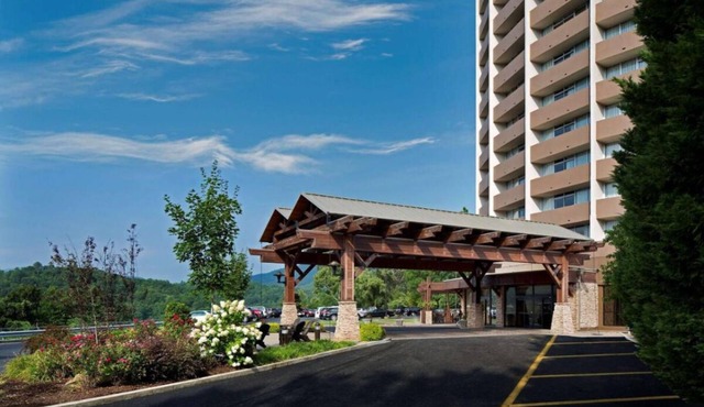 Indoor Swimming Pool, Pets Allowed! Experience Gatlinburg's Magic!