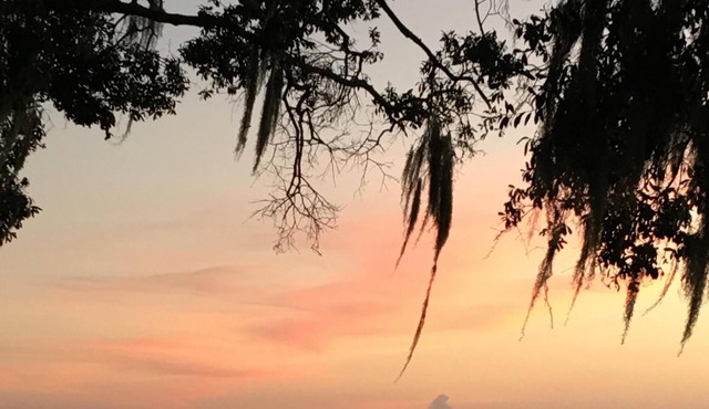 LAKE FRONT HIDEAWAY 2mi from I-4 Between TAMPA and ORLANDO