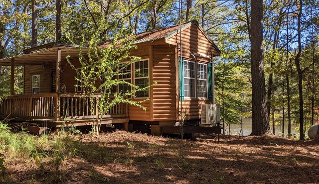 Lakefront Cabin in the Forest