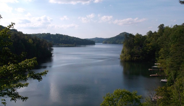 Lakefront Cottage . AWESOME View. NEW walkway/dock landing . Specials