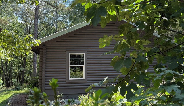 Lakefront Log Cabin + Wooded Paradise + Close to Clemson + 2 Kayaks