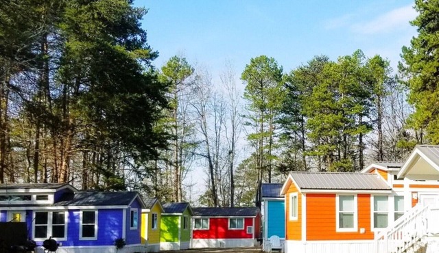 Lakefront Two Bedroom Cabin #31