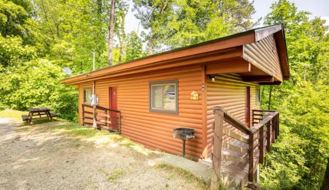 Lazy Bear Cabin near Nantahala Outdoor Center and Bryson City