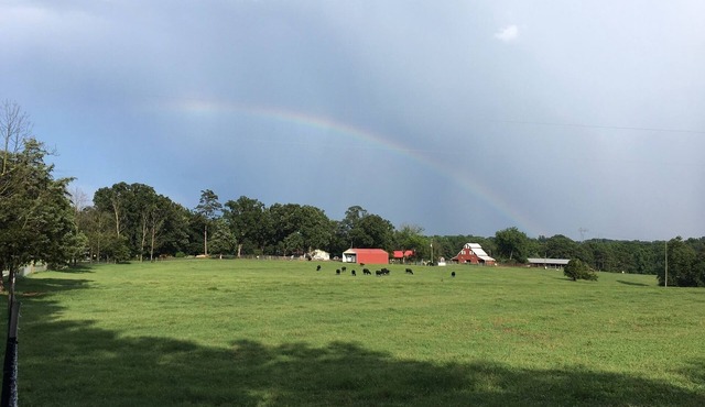Life on the farm with Pool! 1+ hour to ATL, Close to great hiking in No GA Mtns