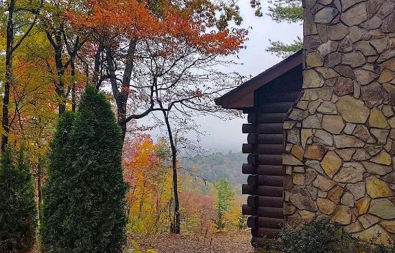 Log Cabin in Bailey Camp