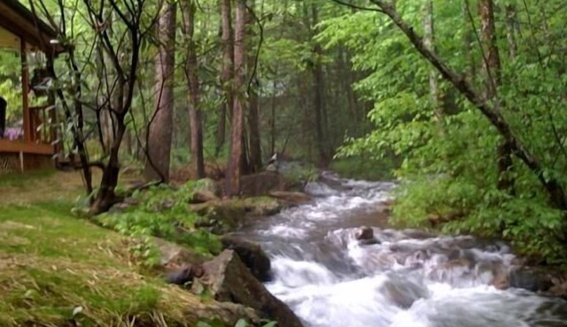 LOW WINTER RATES Rushing Waters Cabin - Feet from rushing creek.