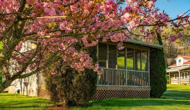 Midge: cozy studio cabin, firepit, perfect for anglers w/wading river access