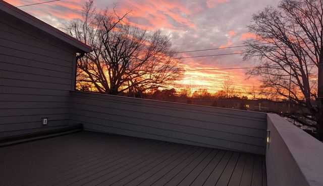 Modern Rooftop View Raleigh Downtown SFH-Yellow