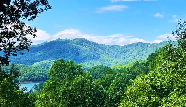 Mountain Views, Game Room, Firepit and Hot Tub in Bryson City