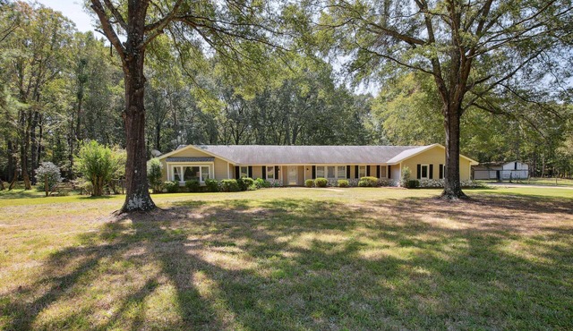Nature’s Care: Home w/Pond, 16 Mi to Memphis! in Olive Branch