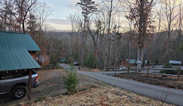 NEW LISTING! Mountain Cabin Getaway with a fire pit, High Speed Internet, Dog OK in Murphy