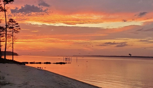 Newly Renovated, private beach, Oasis.